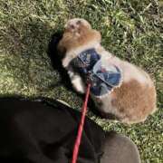 ヒメ日記 2025/07/20 22:50 投稿 まなか もしも素敵な妻が指輪をはずしたら・・・