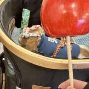 ヒメ日記 2025/08/31 12:40 投稿 まなか もしも素敵な妻が指輪をはずしたら・・・