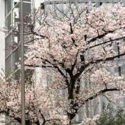 ヒメ日記 2026/04/01 11:30 投稿 まなか もしも素敵な妻が指輪をはずしたら・・・