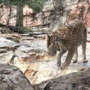 ヒメ日記 2026/04/02 11:30 投稿 まなか もしも素敵な妻が指輪をはずしたら・・・