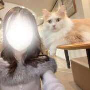 ヒメ日記 2026/03/16 21:16 投稿 さくら 紳士の嗜み 立川