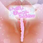 ヒメ日記 2025/03/29 08:46 投稿 めりー 熟女の風俗最終章 本厚木店