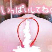 ヒメ日記 2025/12/15 10:05 投稿 めりー 熟女の風俗最終章 本厚木店