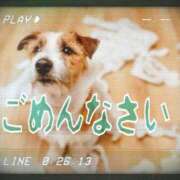 ヒメ日記 2024/04/02 12:21 投稿 かな ニューヨーカー