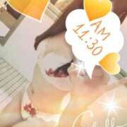 ヒメ日記 2025/01/24 11:36 投稿 かな ニューヨーカー