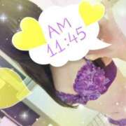 ヒメ日記 2025/01/29 11:50 投稿 かな ニューヨーカー