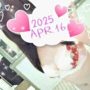 ヒメ日記 2025/04/16 11:39 投稿 かな ニューヨーカー