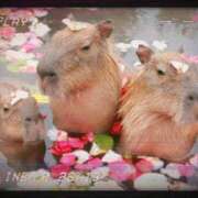 ヒメ日記 2025/04/26 08:34 投稿 かな ニューヨーカー