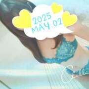 ヒメ日記 2025/05/02 14:19 投稿 かな ニューヨーカー