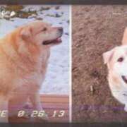 ヒメ日記 2025/05/06 15:33 投稿 かな ニューヨーカー