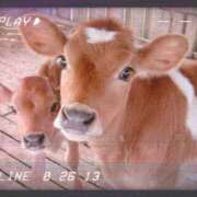 ヒメ日記 2025/06/01 09:34 投稿 かな ニューヨーカー