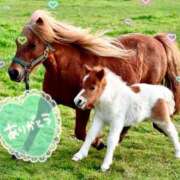 ヒメ日記 2025/08/28 13:03 投稿 かな ニューヨーカー