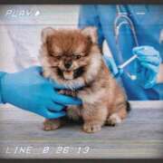 ヒメ日記 2025/09/28 09:39 投稿 かな ニューヨーカー