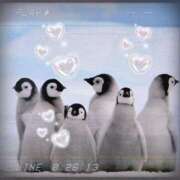 かな キョ♪ ニューヨーカー