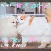 ヒメ日記 2026/02/22 09:33 投稿 かな ニューヨーカー