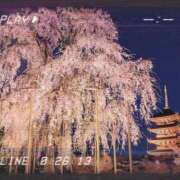 かな サク♪ ニューヨーカー