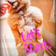 かな ニン♪ ニューヨーカー