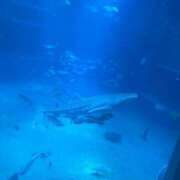 ヒメ日記 2025/01/29 21:03 投稿 そら すごいエステ京都店