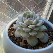 ヒメ日記 2025/02/06 14:13 投稿 そら すごいエステ京都店