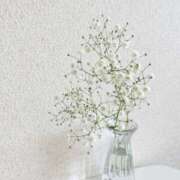 ヒメ日記 2025/02/11 07:53 投稿 そら すごいエステ京都店