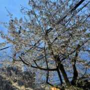 ヒメ日記 2025/04/08 18:53 投稿 そら すごいエステ京都店