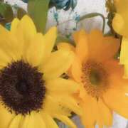 ヒメ日記 2025/05/23 09:23 投稿 そら すごいエステ京都店