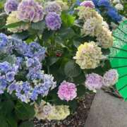 ヒメ日記 2025/06/30 18:43 投稿 そら すごいエステ京都店