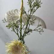 ヒメ日記 2025/07/02 10:53 投稿 そら すごいエステ京都店