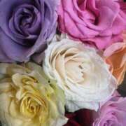 ヒメ日記 2025/07/09 19:53 投稿 そら すごいエステ京都店