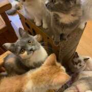 ヒメ日記 2025/08/14 22:07 投稿 ゆうか 土浦ハッピーマットパラダイス