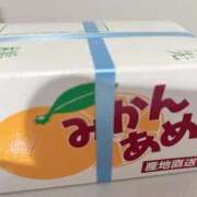 ヒメ日記 2025/09/25 19:48 投稿 かりな フォーシーズン