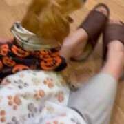 ヒメ日記 2025/10/26 01:08 投稿 かりな フォーシーズン