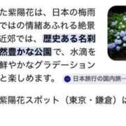 ヒメ日記 2026/06/19 18:15 投稿 浅木　ゆつき 川崎南町人妻高級ソープ エル・カーヒル(ELCURHIL)秘密の刻