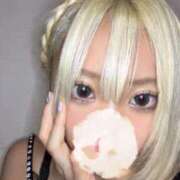 ヒメ日記 2025/03/12 12:45 投稿 みく 深海魚