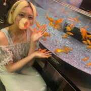 ヒメ日記 2025/03/13 07:30 投稿 みく 深海魚