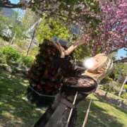 ヒメ日記 2025/04/17 12:03 投稿 みく 深海魚