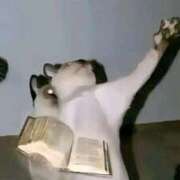 ことの 緊張 東京シーメール倶楽部　新宿店