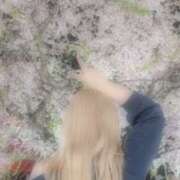 ヒメ日記 2025/04/13 22:00 投稿 さりな ぽちゃカワ女子専門店宇都宮店