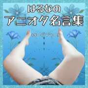 ヒメ日記 2024/08/28 15:29 投稿 はるな 大阪和泉ちゃんこ