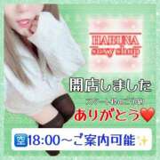 ヒメ日記 2024/12/13 15:19 投稿 はるな 大阪和泉ちゃんこ