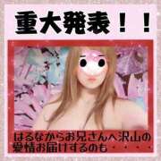 ヒメ日記 2024/12/19 12:29 投稿 はるな 大阪和泉ちゃんこ