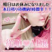 ヒメ日記 2024/12/22 22:39 投稿 はるな 大阪和泉ちゃんこ