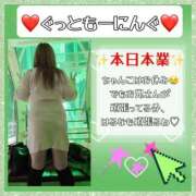 ヒメ日記 2024/12/26 06:59 投稿 はるな 大阪和泉ちゃんこ