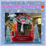 ヒメ日記 2024/12/27 13:03 投稿 はるな 大阪和泉ちゃんこ