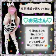 ヒメ日記 2024/12/27 20:59 投稿 はるな 大阪和泉ちゃんこ