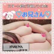 ヒメ日記 2025/01/11 16:49 投稿 はるな 大阪和泉ちゃんこ