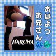 ヒメ日記 2025/01/12 06:59 投稿 はるな 大阪和泉ちゃんこ