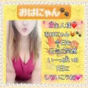 ヒメ日記 2025/01/14 07:59 投稿 はるな 大阪和泉ちゃんこ