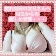 ヒメ日記 2025/01/15 18:49 投稿 はるな 大阪和泉ちゃんこ