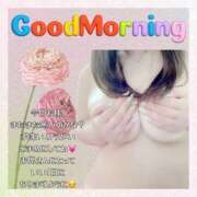 ヒメ日記 2025/01/22 06:49 投稿 はるな 大阪和泉ちゃんこ